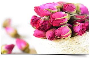 娱乐吃瓜酱带刺的玫瑰,揭秘带刺玫瑰背后的故事