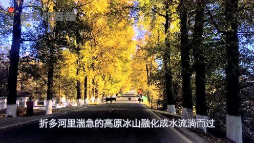 娱乐吃瓜君黄山,揭秘娱乐圈背后的那些事儿