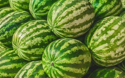 吃瓜大赛在线观看聚集地,畅享瓜界盛宴！